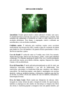 ERVAS DE OSSÃE (1).pdf